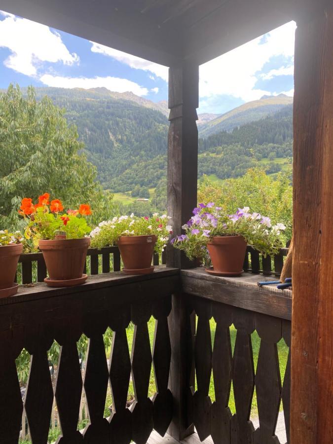 Casa Vegana Bed and Breakfast Trun Εξωτερικό φωτογραφία